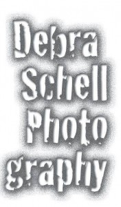 Deb Schell Logo