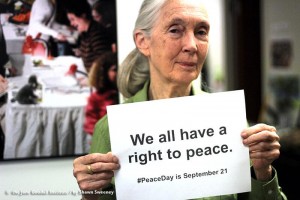 Jane Goodall Right To Peace